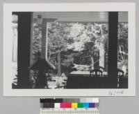 From the Nordstrom's Window looking into the woods. Issaquah, Wash. Metcalf. Sept. 1952