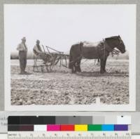 State Forest Nurseryman Ray Doney with assistant and team. May, 1942. State Division of Forestry