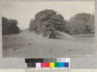 The truck pumper throwing water from the monitor nozzle 3/16" while running at 20 miles an hour. Metcalf. 1928