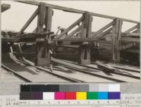 Bins for sorted lumber. Note trip supports to save cars. At extreme right a car has been shoved under load, the trip released, and lumber lowered to car. San Vicente Lumber Company, Santa Cruz, California. May, 1921. E. F