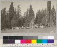 Flag Day exercises at Whitaker's Forest, June 14, 1927. Mrs. Covell of Madera gives some interesting historical data about the flag. Metcalf