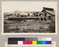 Washington Iron Works Yarder Loader, being assembled. Pacific Lumber Company, Freshwater, California