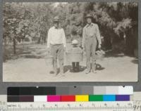 Products of the small orchards on the Chico Forestry Station. W. Metcalf, Beatrice Metcalf, J. N. Moore. August 1919