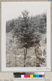 Clint Seibert of Vernonia, Oregon and a turn-up Douglas fir near Shelton, Washington. Sept. 1952. Metcalf