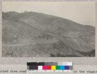 Burned area near Bee Gum, Shasta County, in the chamise country. This is similar to the country where the test of burning on range feed is being conducted by a University committee. 1933. Metcalf