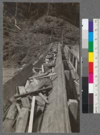 Refuse Conveyor. Mendocino Lumber Company. Note large amount of sound wood. Fire hose along walk. April, 1921