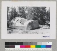 Snow damage to a Quonset cabin, Gold Lake. July 1952. Metcalf