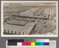 Red River Lumber Company, Westwood California. View of Planing Mill, Yards, Kilns. 1-1-Yards, with inside fire break. 2- Moulding shed (dry shed #2). 3- Dry shed #1, upper grades. 4- Hogs for planer refuse and edgings. 5-5-5- Planing Mill. 6- Dry kilns