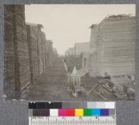 Cypress lumber piled for air drying in yard at Jeanerette Cypress Lumber & Shingle Company. No dry kilns are used for Cypress. It ordinarily is in the drying yard for about a year. D.T. Mason 1919