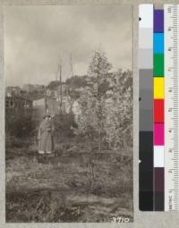 Two years after the Berkeley Fire. Natural seedlings of Eucalyptus globulus, sprouts of cottonwood and seedlings of Acacia decurrens mollis in yard near corner of Hilgard and Arch Streets