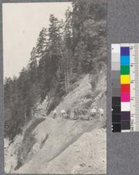 Working along the county road on the Van Duzen River between Strongs and Bridgeville. Road has been here only two years. Slides are very bad during the wet weather. Below this place there was nothing to hold the earth and slides filled the road from above. Humboldt County. May 31, 1915