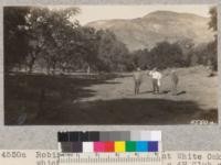 Robinson, Smyth and Doty at White Oak Flat which may be developed as a 4-H Club camp site for Santa Barbara, Ventura and San Luis Counties. It is in the Santa Ynez watershed near the mouth of Arroyo Burro Creek. A good water supply will be the most difficult thing to arrange for. Metcalf. November, 1928