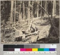 Redwood Region. Tractor logging by Hammond east of Carlotta. Note trees left. 7-13-36. E.F