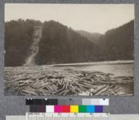 See preceeding picture. Spruce and Balsam logs in log pond in foreground. The logs are sleigh hauled in the winter to the top of the so-called "brow". There they are decked and later rolled down the "brow" into the river. Excellent Spruce forest on each side of the "brow". The top of the "brow" has an elevation of about 200 feet above the water. Of course many of these "brows" are used on different parts of the property. D. T. Mason '19