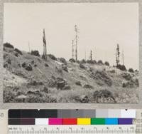 One of a series of 17 views (#5546-5563) in panorama (entire 360 degrees) of surrounding logged-off area, from stump 1045 on University of California experimental area of 1928-1930 in NW 1/4 NE 1/4 Sec. 1 T2S R2E. Photo at noon in bright sun. 7-7-32. E.F