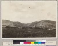 Hardwood forest and farm land in S. E. Minnesota. This country has not been glaciated. J. R. W