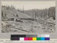 Penman Peak Lumber Company near Blairsden, showing the utilization of small yard space. The mill is off the left of the picture and in order to get long alleys dollyways had to be built on curves (see #3624). The hill in the left background has been logged by tractors