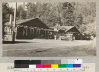 Illustrating the use of second-growth red-wood for the rustic treatment of forest structures. This is a log house with logs used on the inside also for treatment. Most of them are second-growth. The shingles under the eaves are of sap red-wood produced from trees which were left from an older cutting and had responded with rapid growth