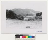 The San Carlos Ranch demonstration tractor clearing area in background. The field in foreground was similarly cleared 2 years ago at 12.50/acre, this year produced 7 tons of oat hay per acre. July 1952. Metcalf