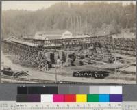 Mill A, of Pacific Lumber Company, Scotia, California. Note open burner - and circular brick protecting wall. Overhead traveling crane passes over green sorting table (see long light shed roof) and takes away units of lumber as they are built up at the sorting table