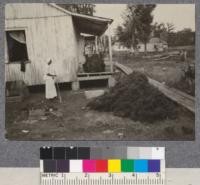 Scene in logging camp of Williams Cypress Company, in Atchafalaya basin, Southern Louisiana. The pile of dark colored stuff on the porch and in the foreground is Spanish moss gathered from trees in the swamp. It is dried and sold for a few cents a pound, and finally used, I believe, for stuffing cheap mattresses