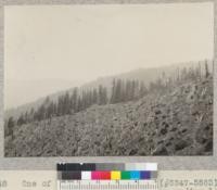 One of a series of 17 views (#5546-5563) in panorama (entire 360 degrees) of surrounding logged-off area, from stump #1046 on University of California experimental area of 1928-1930 in NW 1/4 NE 1/4 Sec. 1 T2S, R2E. Photo at noon in bright sun. 7-7-32, E.F
