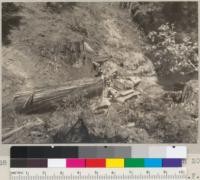 Cletrac 80 Tractor and arch going down 20% grade to landing 2500 feet off D & C [Dolbeer and Carson Lumber Co.?]. June 1935. E.F