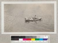 Frys Harbor - Santa Cruz Island. June 1931. Pemberton at oars, Metcalf and Merrill peering thru the glass bottom boxes