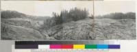 Panorama of sheep range near Briceland (8 mi. W. of Garberville) Douglas fir woodland type chopped and burned for range purposes. Burned probably 15 years or more before photo. Fair to good stand of grass. 2/19/37. E. F