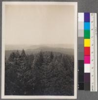 View from Banner Lookout Station. Tahoe National Forest