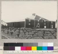 Wente Winery building at Livermore. Roof had just been reshingled with 5/2 redwood over old shingles. Spring, 1934. E. F