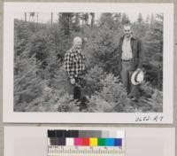 Douglas Fir Christmas Tree Company. Christmas tree land "farmed" and improved by the son of Mr. Stohr and two of his high school friends. Metcalf & Mr. Stohr