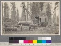 The big wheels and loader, McCloud River Lumber Company