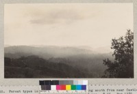 Forest types in Santa Cruz County. Looking south from near Castle Rock Ridge summit on Bear Creek road. Time 10 sec. F 22. May 1930. T.M. Tyrrell