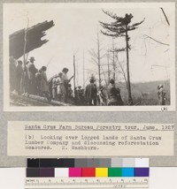 Santa Cruz Farm Bureau Forestry tour, June 1927. Looking over logged lands of Santa Cruz Lumber Company and discussing reforestation measures