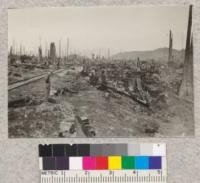 Cutover land about 5 years after cutting. Hammond Lumber Company. 1921