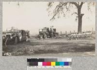 Oak Grove school demonstration, Contra Costa County. 1930