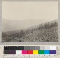 One of a series of 17 views (#5547-5563) in panorama (entire 360 degrees) of surrounding logged-off area, from stump 1046 on U. C. experimental area of 1928-30 in NW1/4 NE1/4 Sec 1 T2S, R2E. Photo at noon in bright sun. E. F. July 7, 1932