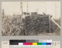 Redwood Utilization Project. Another pile (4 ft. high) of corded branch wood on upper flat of area studied for logging waste. C. R. B. Dec. 1929