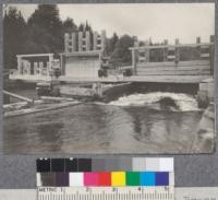 Another splash dam on East Branch of Penobscot River, Maine. D. T. Mason '19