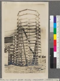 Framework of sugar pine silo. Tuolumne Lumber Co. Modesto, Calif. (5.6)