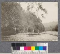 View of south fork of Gualala River. Oct. 1922