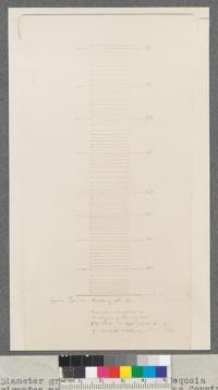 Diameter growth measurement of Sequoia gigantea made in 1865 in Calaveras County. Original presented to Division of Forestry by Professor Hilgard