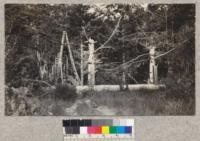 See #1624. Note cable tower and crude tightening winch. May 1921. E. F