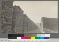 An alley of shop lumber. Weed Lumber Company, Weed, California. June, 1920. E. F