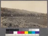 Holmes Eureka Lumber Logging Camp