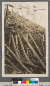 Steep hillside on the Grays River Washington operation of the Portland Lumber Company. The ground here was so steep that it was impossible to buck the trees into logs and they had to be yarded whole as they broke