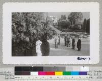 Inspection party of foresters visit garden of Mrs. Frederich Gould, Montecito, November 1943. Van Rensselaer, Evans, Tillotson, Weidman, Greenan and Pratt. Several rare trees are here. Metcalf