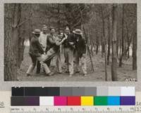 Silviculture Class of 1925 in Monterey Pine plantation in Siesta Valley, Berkeley Hills. November, 1925. Right to left, Graham, Kellitt, Collins, Harper, Thede and Murphy