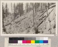 University of California permanent Sample Plot#2. Photo from northeast corner. Condition after logging and brush disposal. S. B. Show (F.S. [Forest Service?]) June 25, 1921